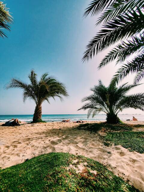Strand op Sal
