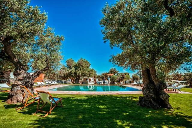 Masseria Il Frantoio - zwembad tussen de oude olijfbomen