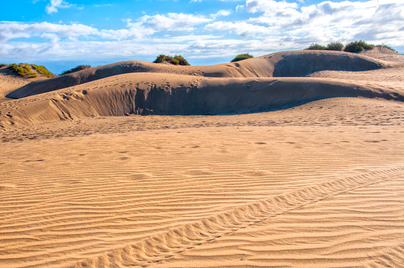 Gran Canaria - Duinen