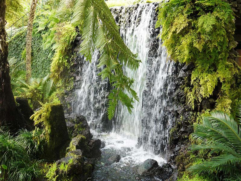 Madeira - Waterval Rabacal