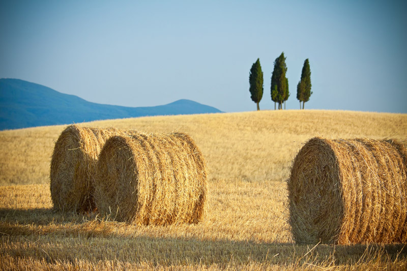 Toscane - Hooibergen