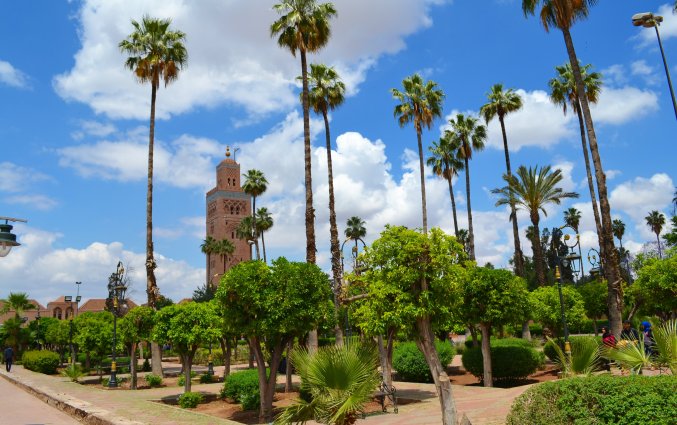koutoubia