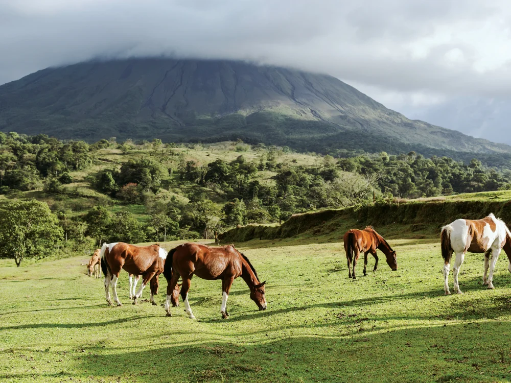 Costa Rica