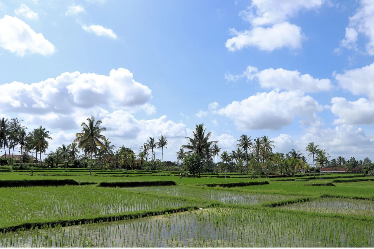 Ubud