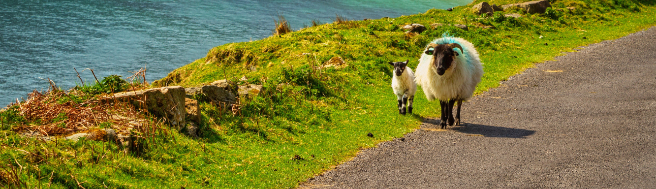 De mooiste natuurlijke individuele rondreizen