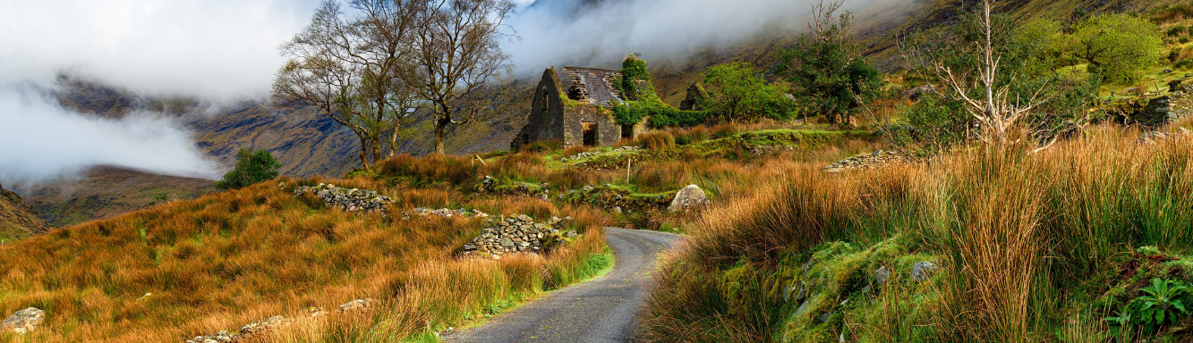 Vakanties in Ierland