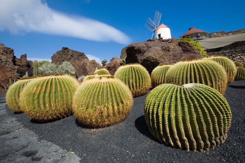 Lanzarote Jardin del Cactus