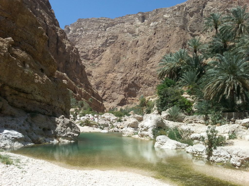 Groene vallei en poelen in Wadi Shab