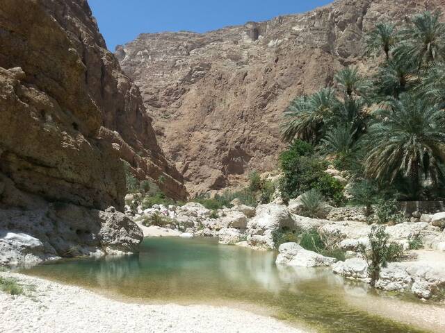 Groene vallei en poelen in Wadi Shab