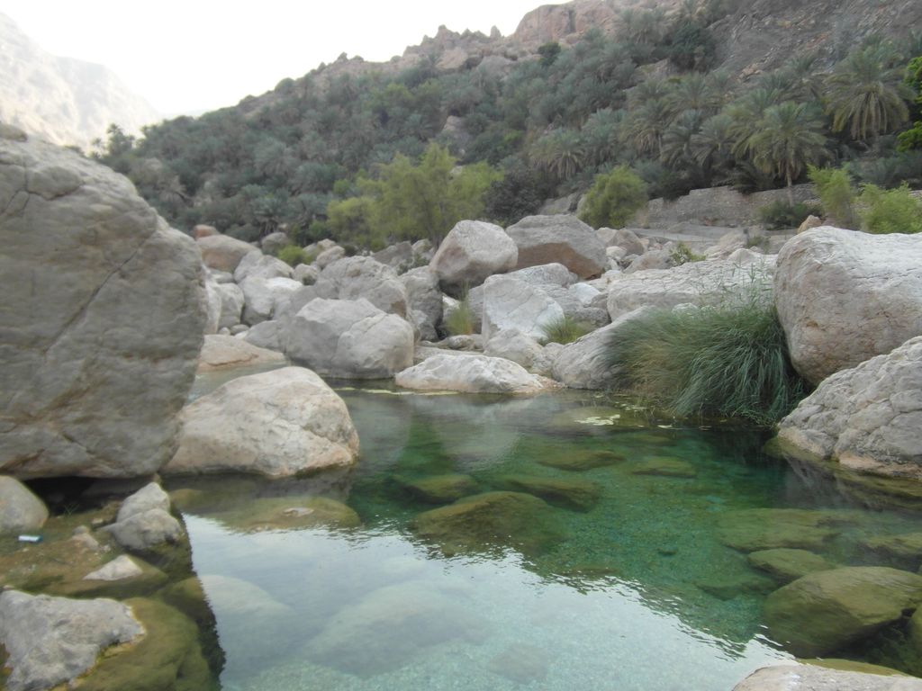 Terrassen en palmen in Wadi Tiwi