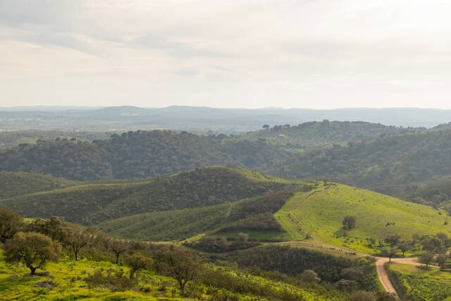 Alentejo – vergezichten