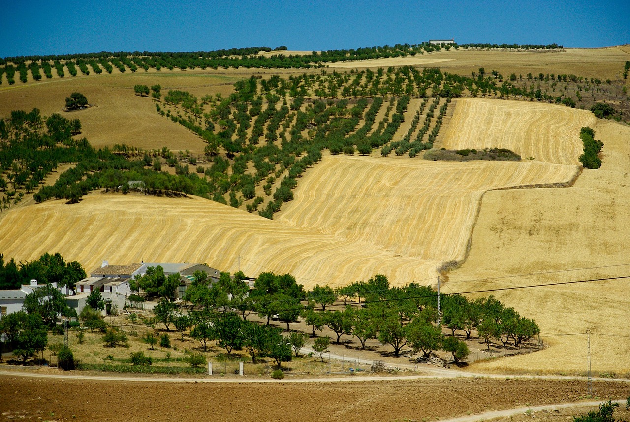 Andalusisch landschap
