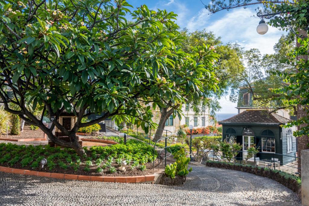 Arts in Conde Carvalhal botanische tuin