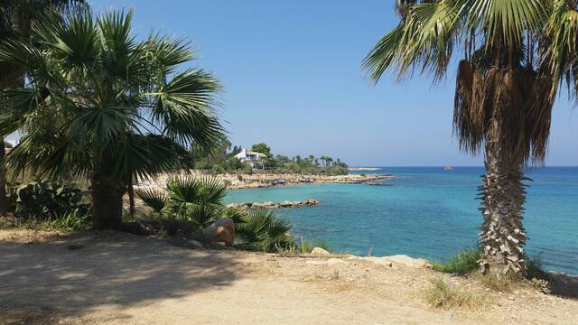 Ayia Napa – palmen en promenade