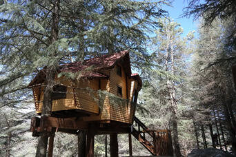 Boomhut Madonie buitenkant
