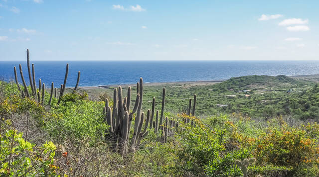 Ontdek het ruige Curaçao