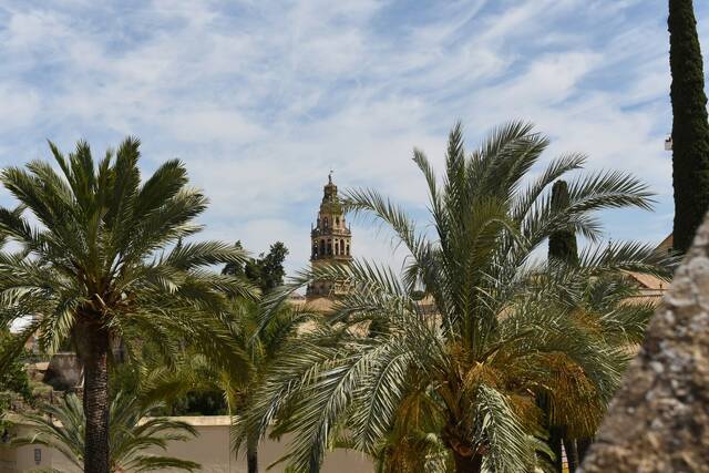 Córdoba: Mezquita & meer