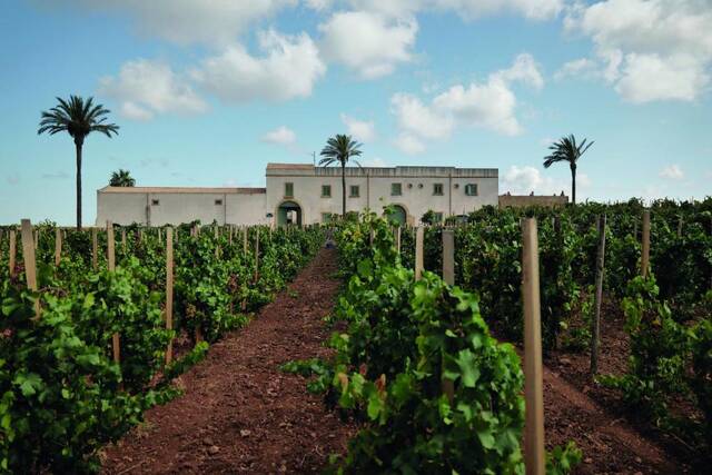 Baglio Donnafranca tussen de wijngaarden bij Marsala