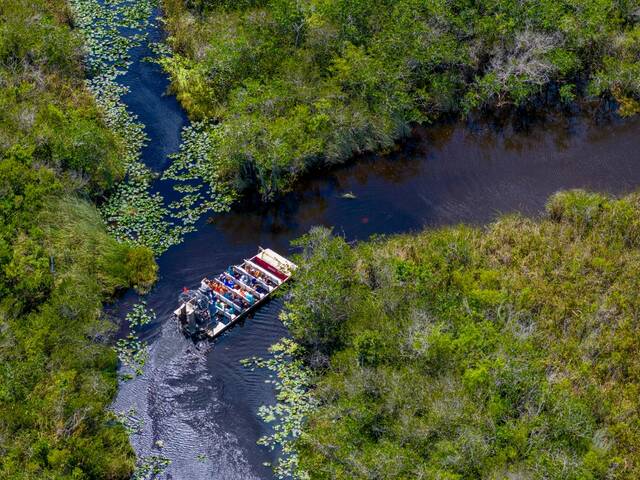 Airboat in de Everglades
