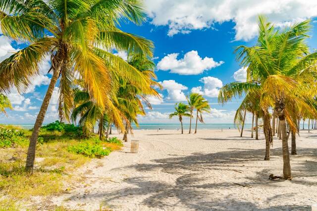 Florida's stranden