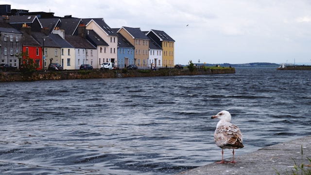 Galway &ndash; sfeerbeeld 3