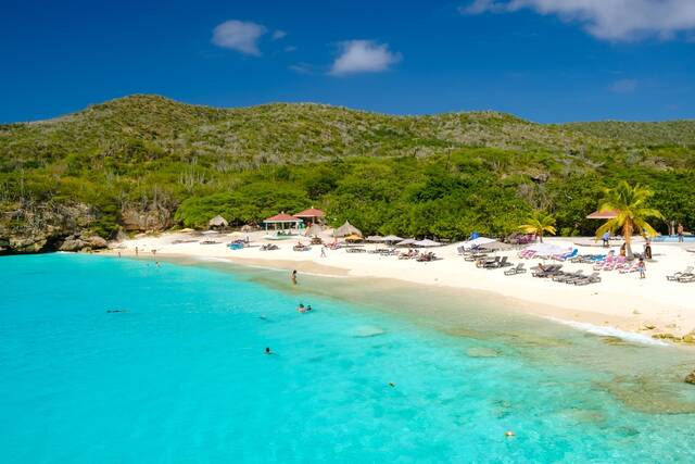 Grote Knip