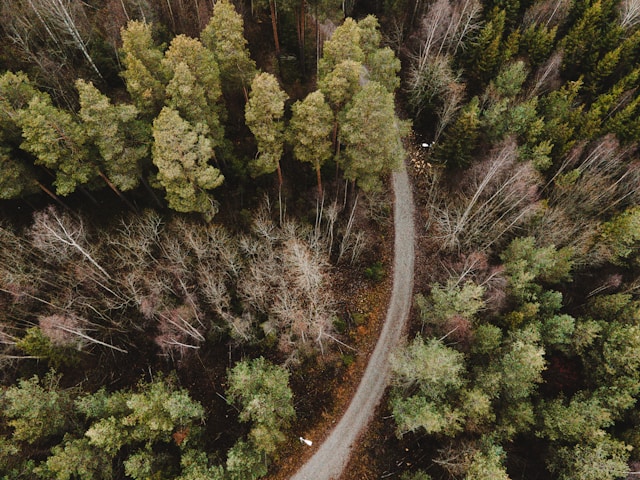 Sfeervol straatbeeld in Hamar