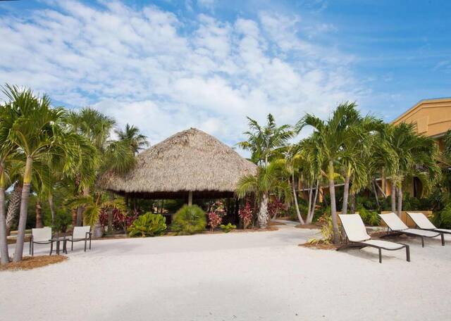 Strandje met palmen bij Hampton Inn Key Largo