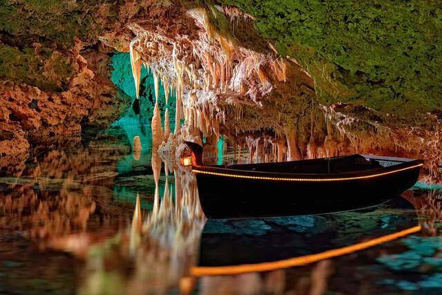 Coves dels Hams