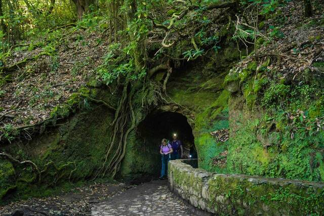 Madeira – wandelen langs levada