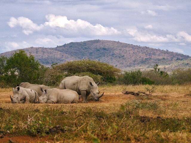 Safari-landschap in Hluhluwe-iMfolozi
