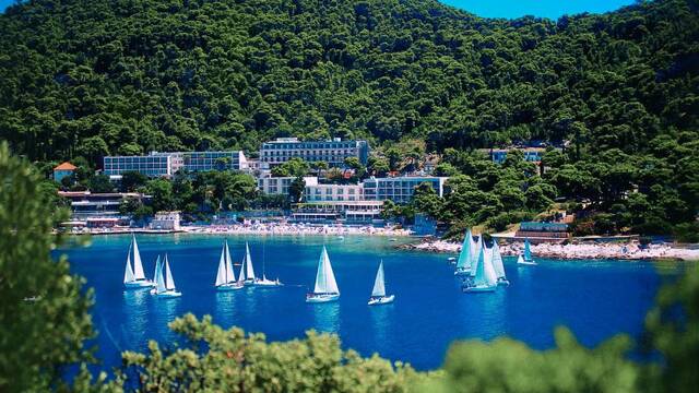 Hotel Uvala met zwembad