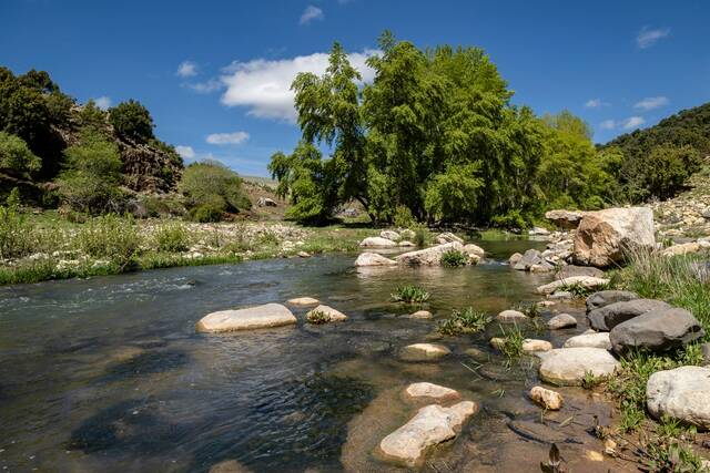 Ifrane in het Midden-Atlasgebergte