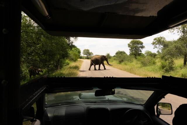 4x4 safari-ervaring