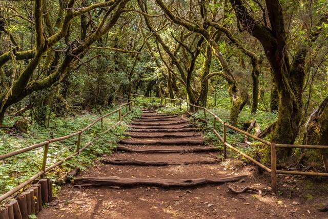 Nationaal park Garajonay
