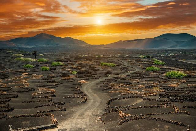 Rijd door vulkanisch Lanzarote