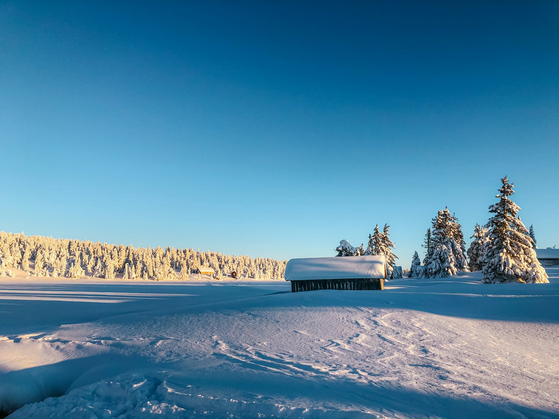 Lillehammer &ndash; winterbeeld