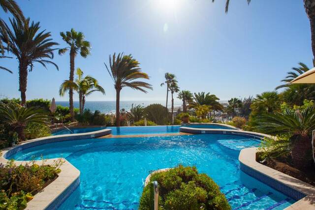 Corallium Beach – zwembadzone met ligbedden