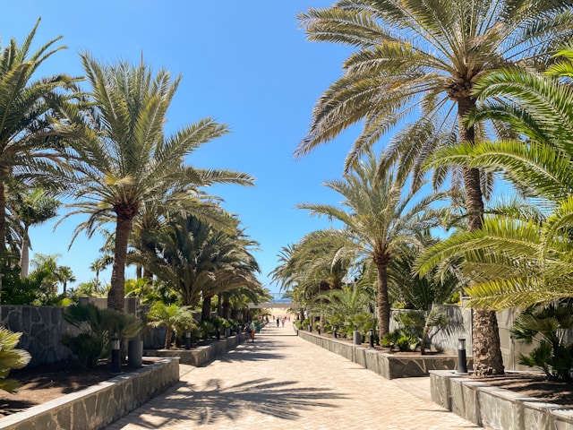 Puerto de las Nieves – natuurlijke baden