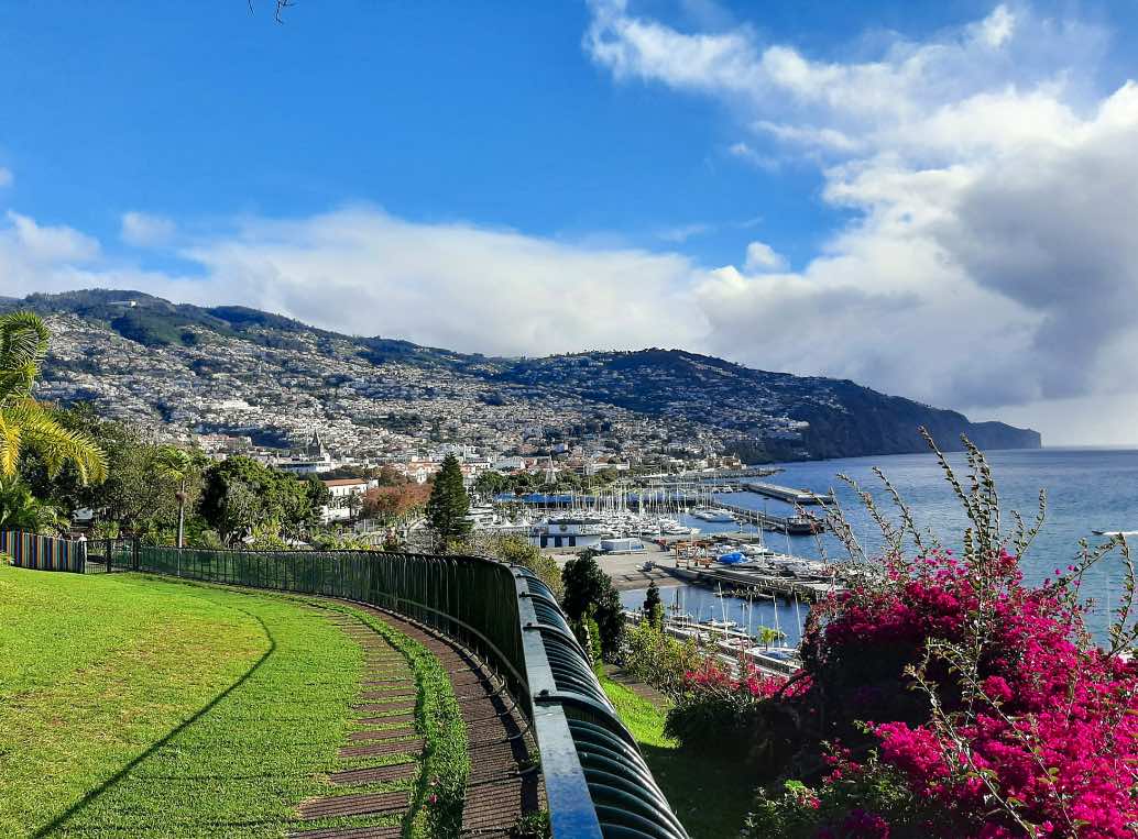 Haven van Funchal met cruiseschepen