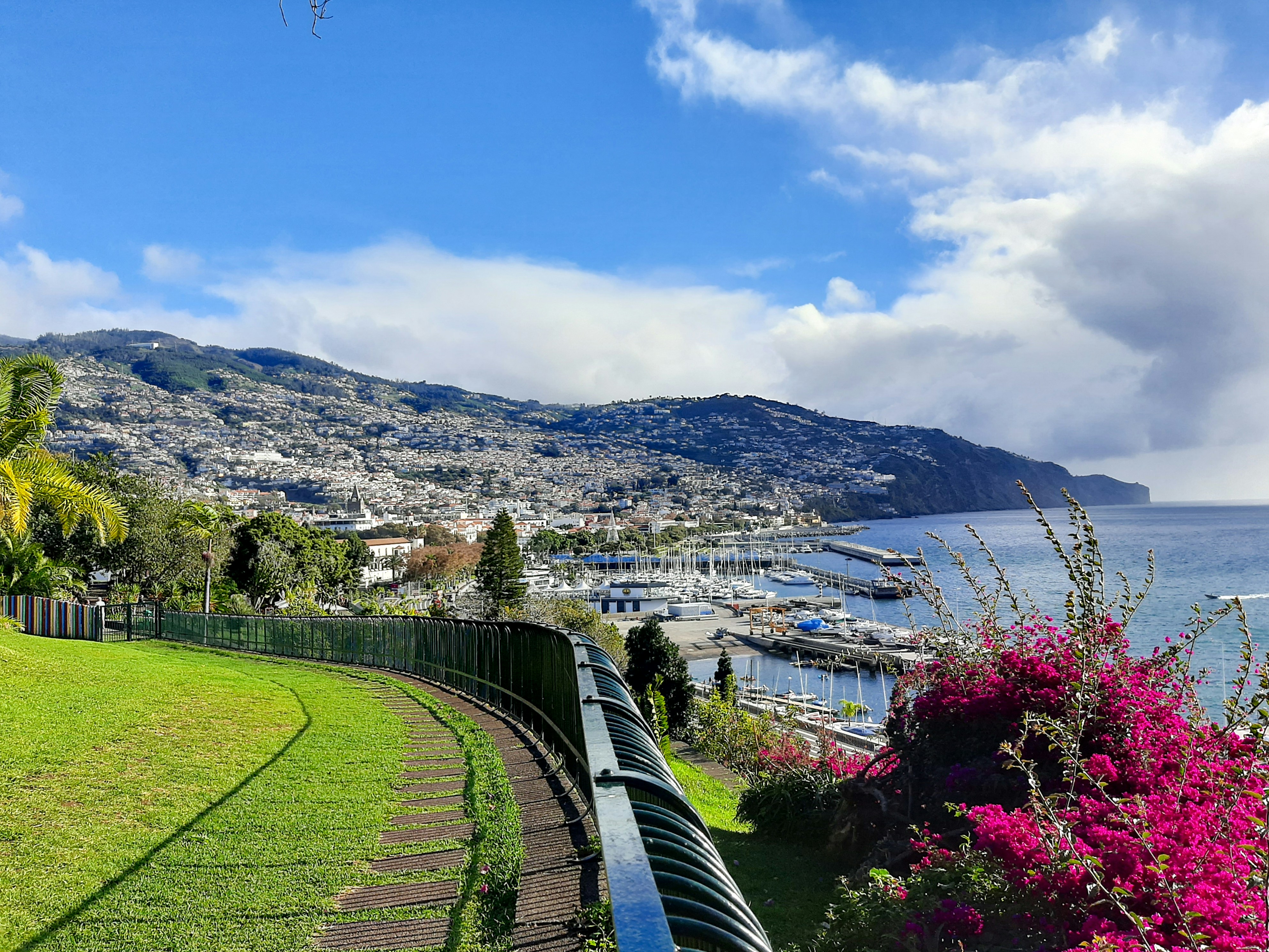 Haven van Funchal met cruiseschepen