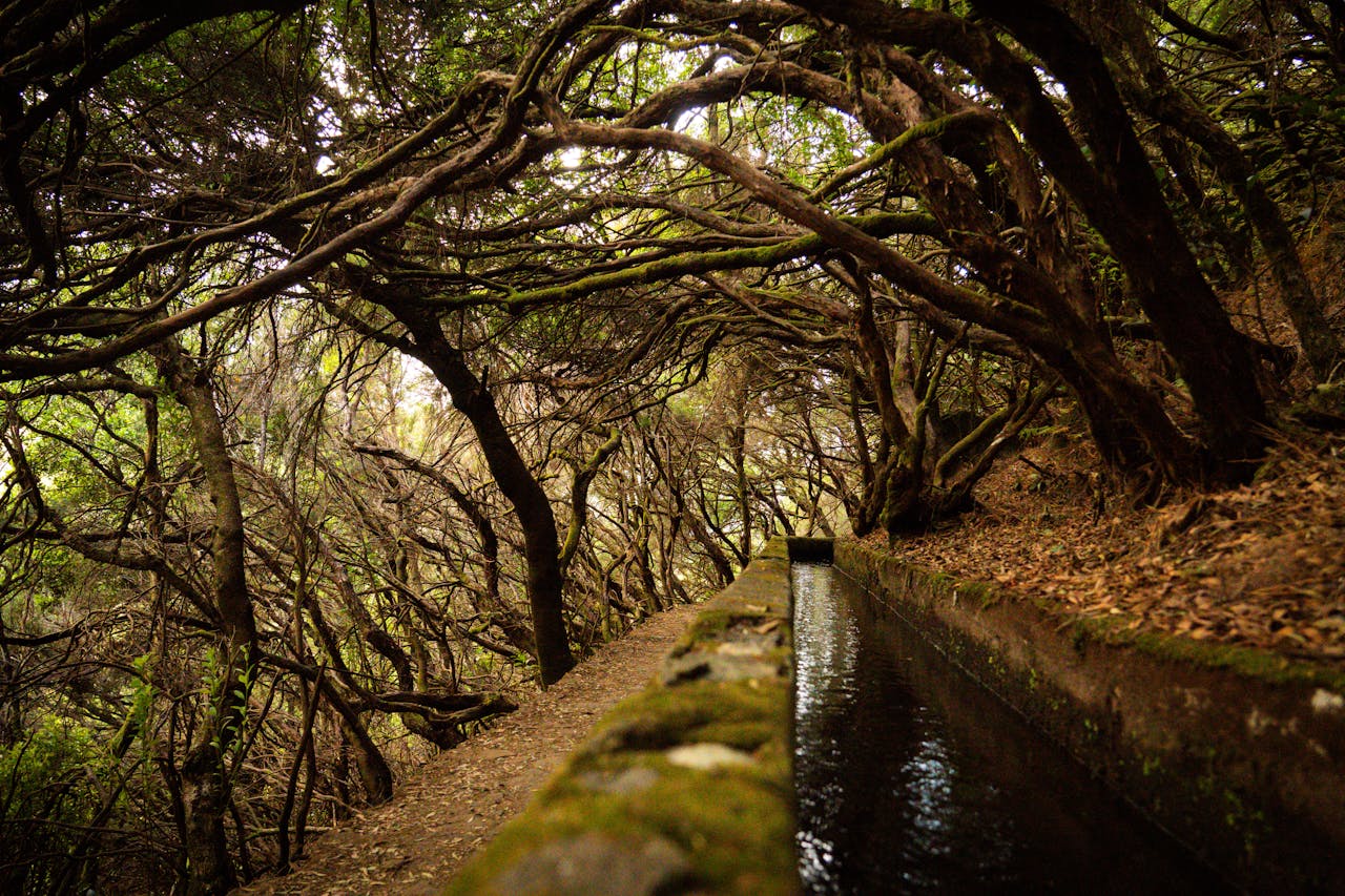 Levada wandeling Madeira