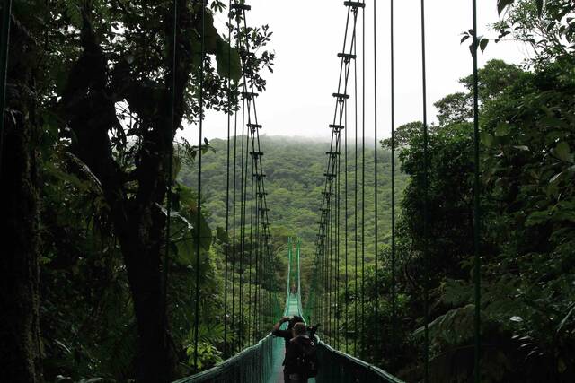 Monteverde – natuur en bruggen