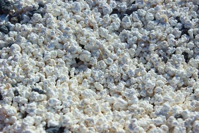 Popcorn Beach