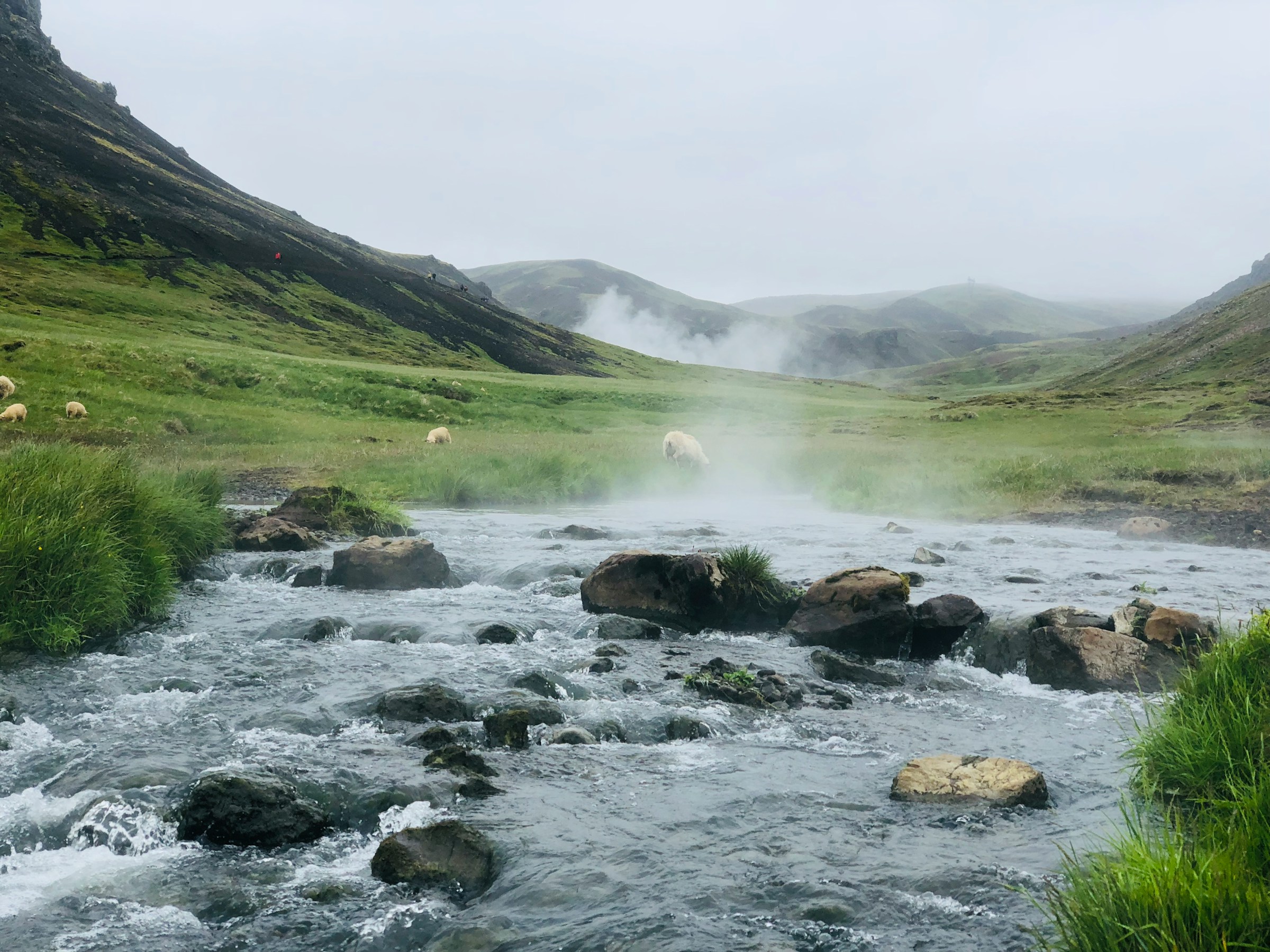 Reykjadalur Hot River wandeling