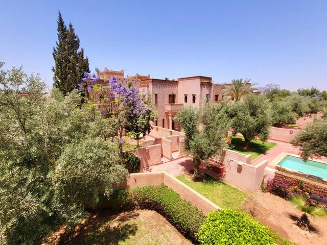 Het zwembad van de riad