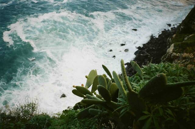 Madeira – berglandschap