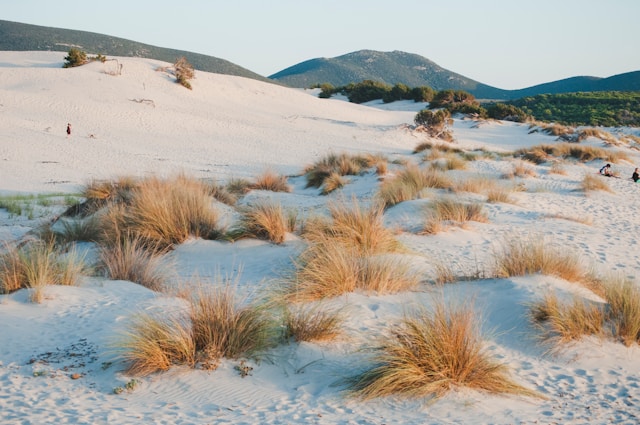 Duinen Sardinië