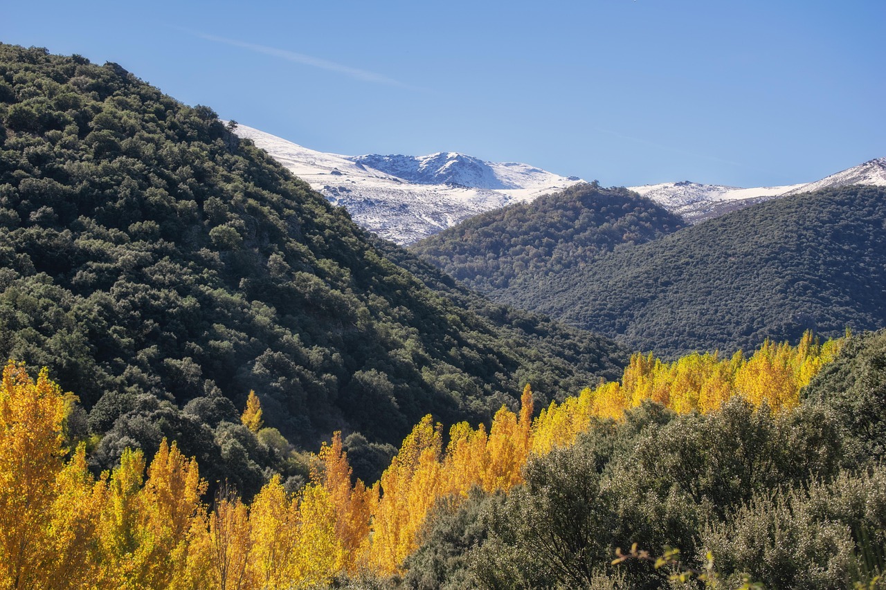Sierra Nevada