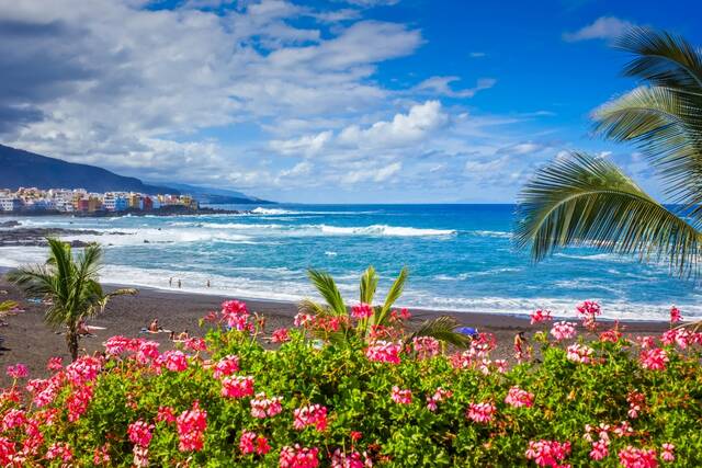 Puerto de la Cruz